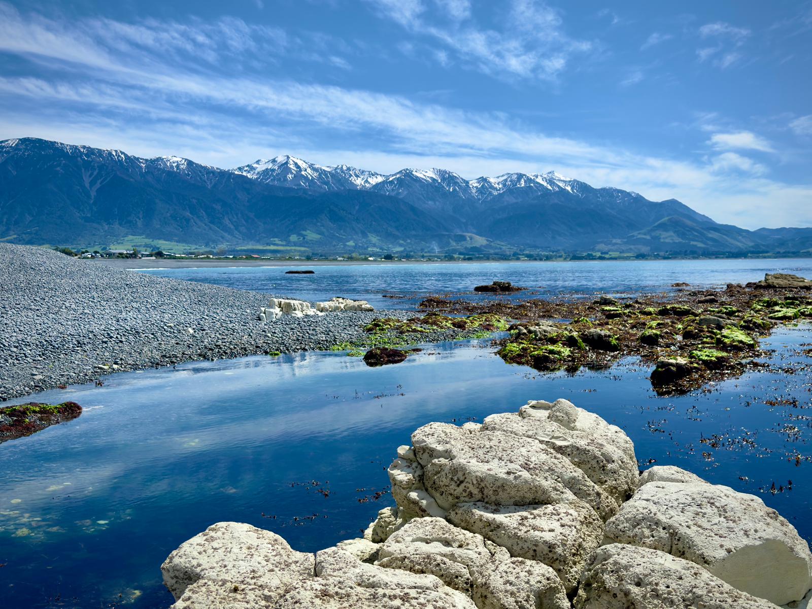 NZ Picture