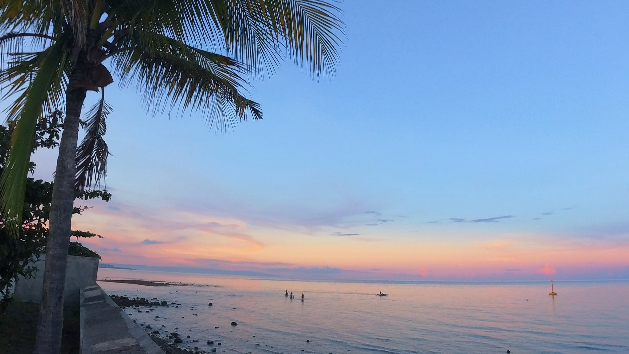 palm tree photo in Philippines